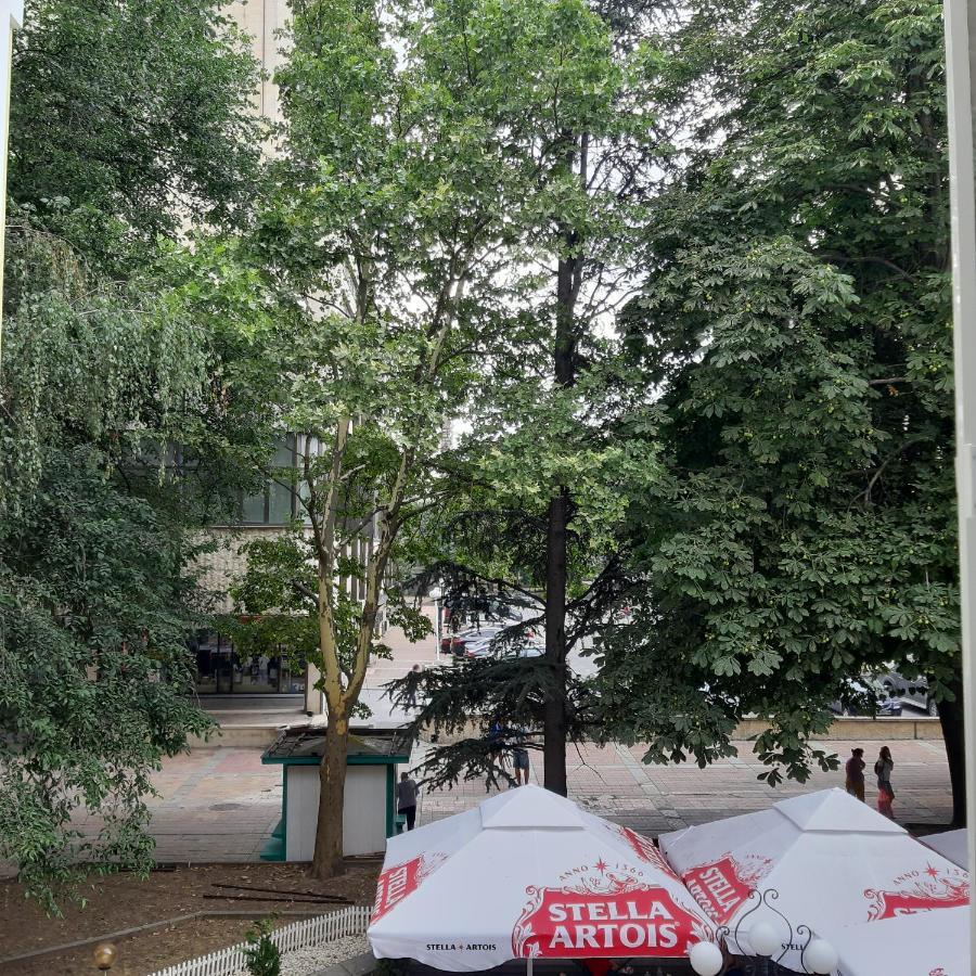 Апартамент "Рая" Dobrici Exterior foto